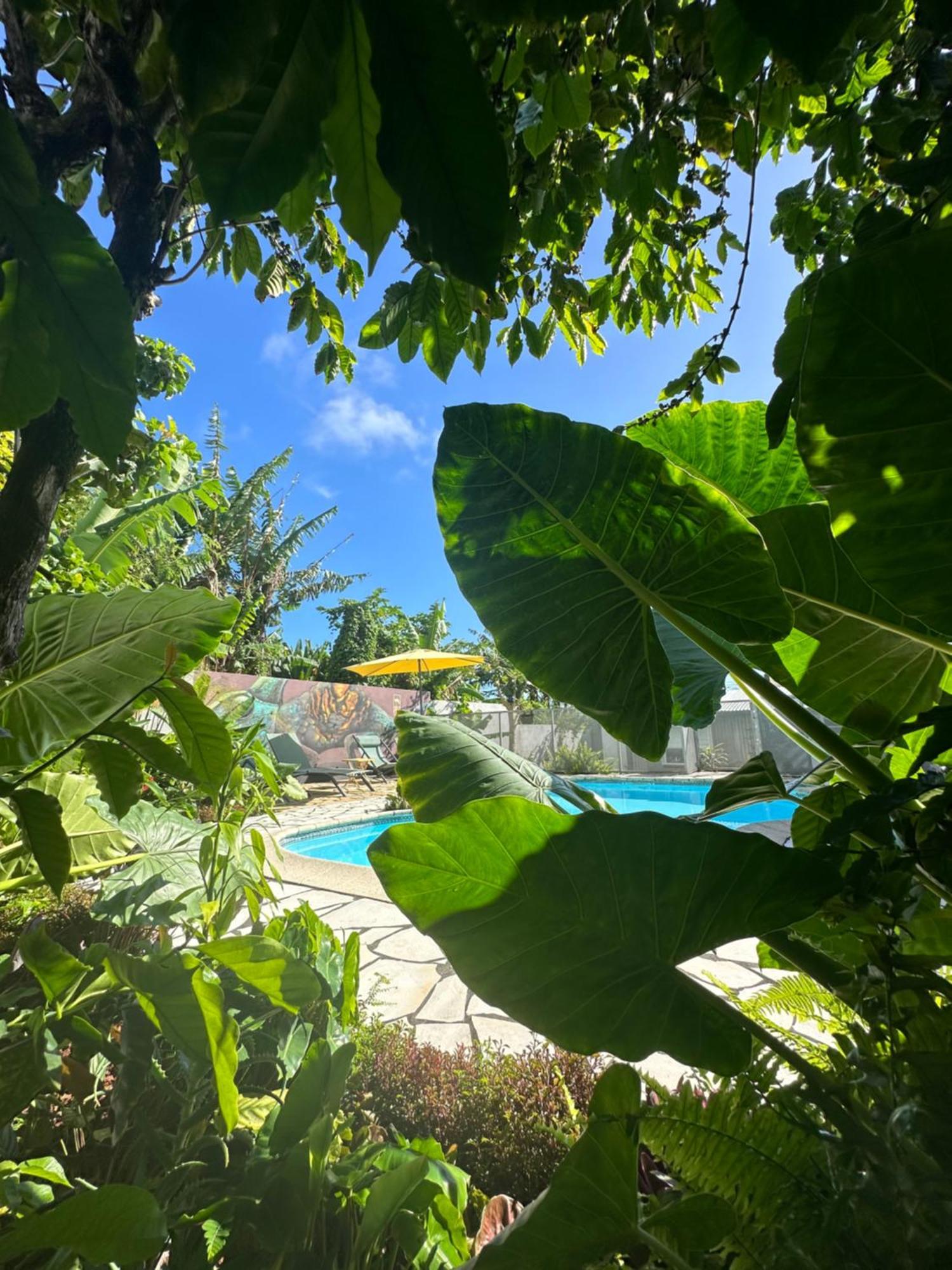 Lendormi - Maison Avec Piscine - Sainte Rose Bagian luar foto